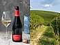 BollaCiao - Piemontes svar på crémant miljö