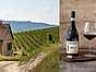 Enjoy Vin från Italien – header
