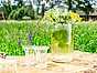 Ernsts midsommarsnaps