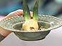 Karamelliserad ananas med rooibosglass