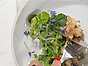 Koralltaggsvamp med örtsallad