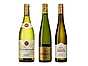 Lagra vin? Klart du kan!1