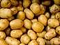 Potatis bör man inte frysa in
