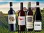 Njut av Nebbiolo - 8 vintips!