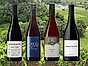 Pinot noir - redaktionens favoriter 2026