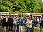 Rosendal Garden Party foodtrucks