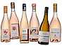 Rosényheter vår 2025 16 maj