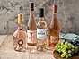 Rosévin - 4 tips i olika prisklasser