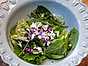 Sallad med vildplockat