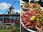 Unika restauranger att besöka