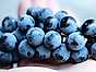 Vad är blått vin blå druvor