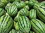 Välj rätt melon –  ljudet avslöjar 2