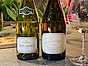 Vin från Chablis