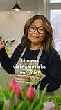 Linneas vietnamesiska vårrullar