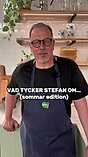 Vad tycker Stefan om?