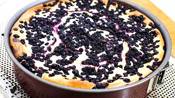 cheesecake blåbär recept cheesecake blåbär recept