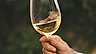 Artikel Riesling - vinglas