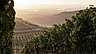 Baron de Ley header