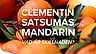 Clementin, satsumas eller mandarin poster