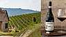 Enjoy Vin från Italien – header