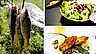 Fixa fina fisken