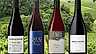 Pinot noir - redaktionens favoriter 2026
