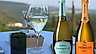 Prosecco - redaktionens favoriter header! header