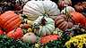 Pumpor Thanksgiving