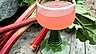 Rabarbersaft och rabarbermargarita