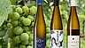 Redaktionens bästa riesling - header