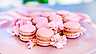 Rosa macarons