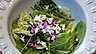 Sallad med vildplockat