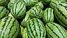 Välj rätt melon – ljudet avslöjar 2