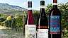 Vin från Piemonte – redaktionens 7 favoriter header