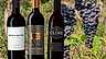 Zinfandel - redaktionens 5 favoriter header